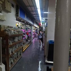 Clementi Avenue 2 (D5), Shop House #622087481